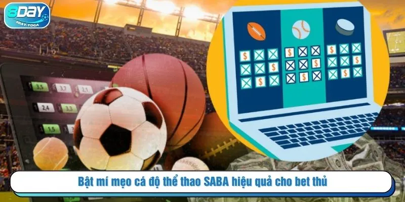 Bật mí mẹo cá độ thể thao SABA hiệu quả cho bet thủ