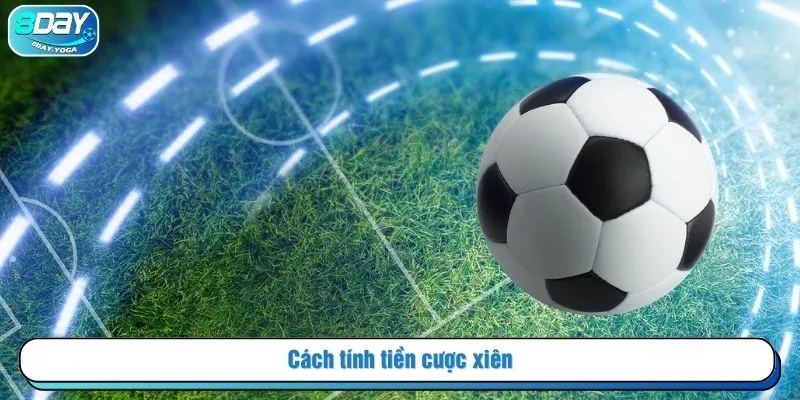 Cách tính tiền cược xiên