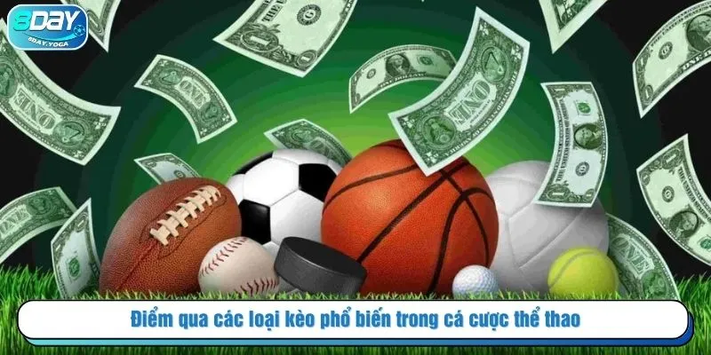 Điểm qua các loại kèo phổ biến trong cá cược thể thao