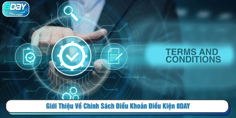 Người chơi cần nắm rõ quy định của nhà cái