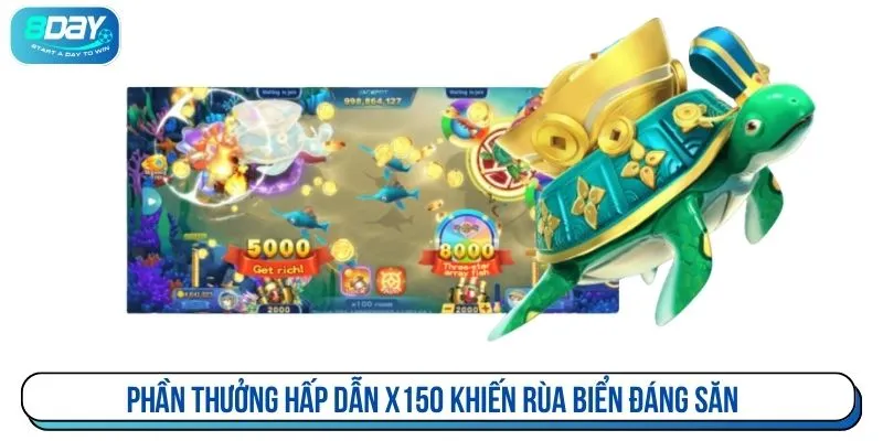 Phần thưởng hấp dẫn x150 khiến rùa biển đáng săn
